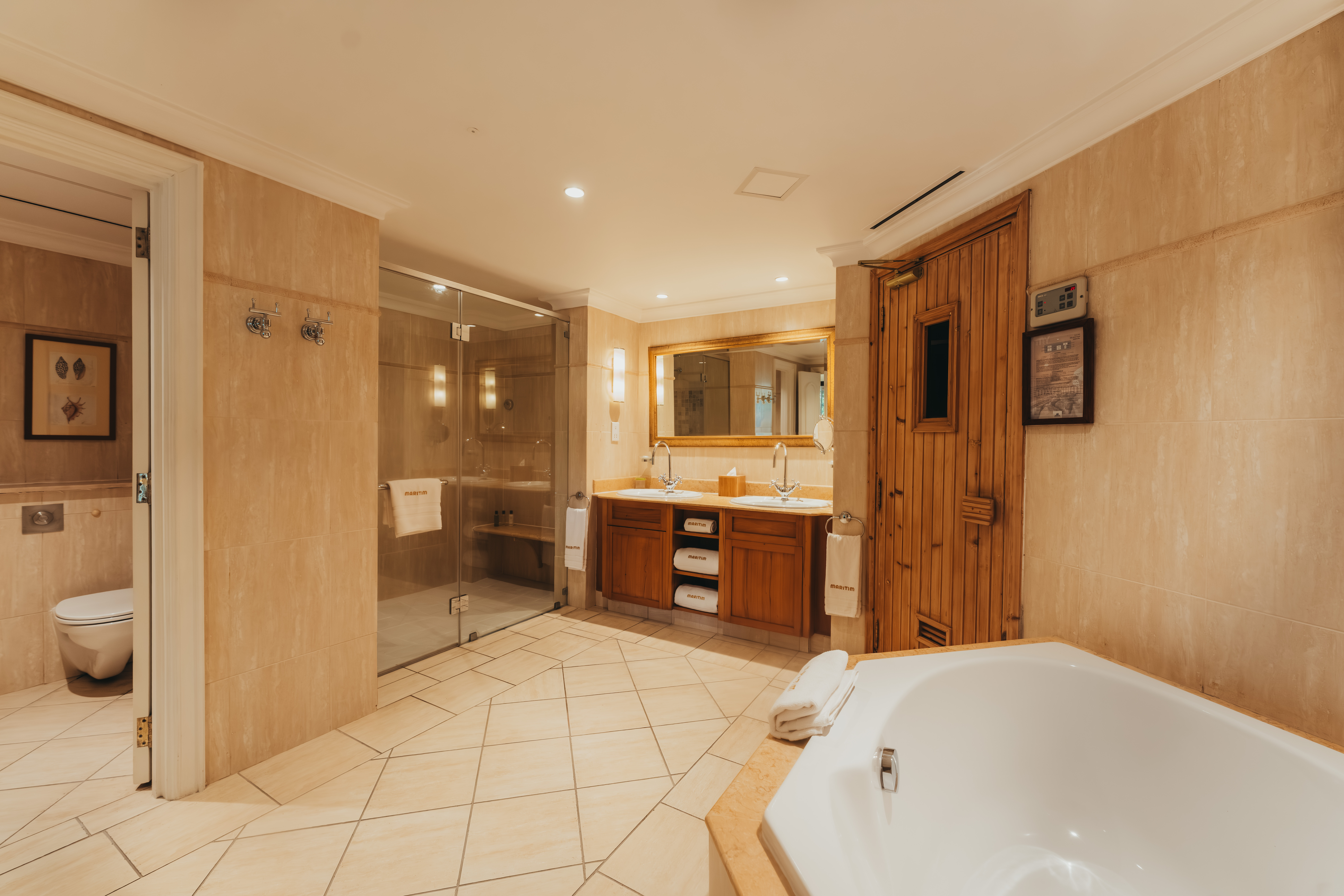 Penthouse Suite Bathroom (2)